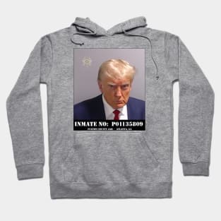 TRUMP MUG SHOT Hoodie